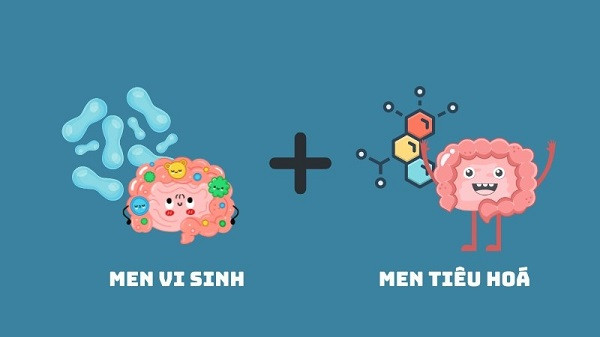 Cách phân biệt men vi sinh và men tiêu hóa tránh nhầm lẫn