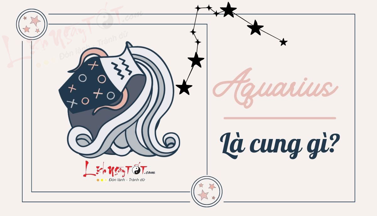 Aquarius là cung gì? Vì đâu mà họ có những suy nghĩ lạ lùng, khác biệt?