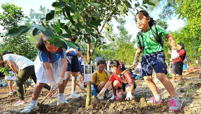 Bảo vệ môi trường từ phong cách sống xanh