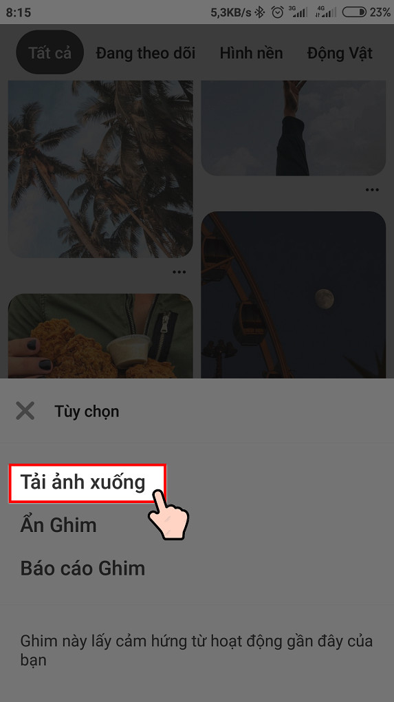 Cách lưu ảnh trên Pinterest về điện thoại và máy tính nhanh chóng