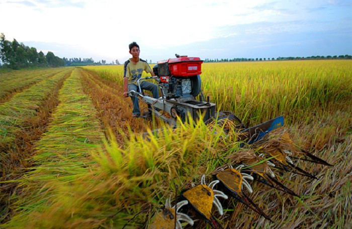 Cách tính giá đền bù đất nông nghiệp năm 2021