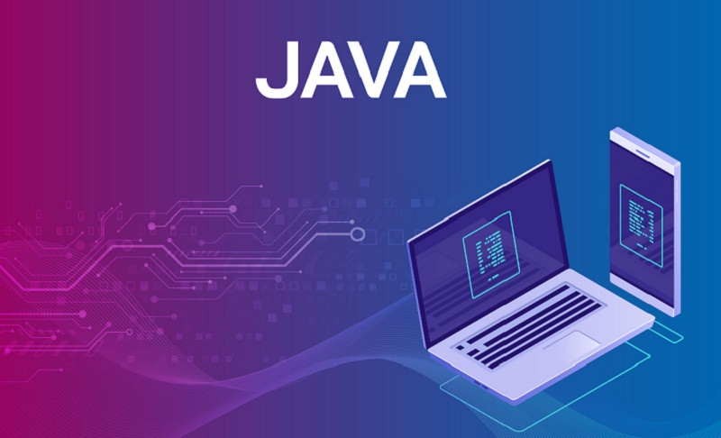 Java là một ngôn ngữ lập trình độc lập với phần cứng