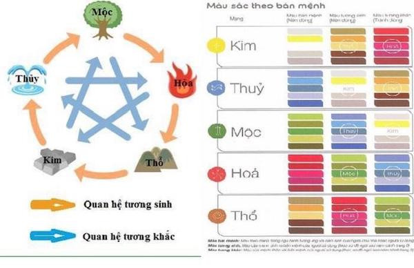 Người mệnh Mộc hợp màu gì? Chọn màu sắc hợp phong thủy cho người mệnh Mộc