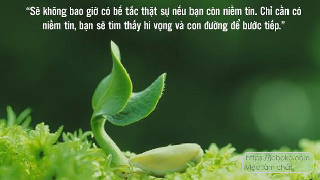 Những câu nói truyền cảm hứng cho học sinh