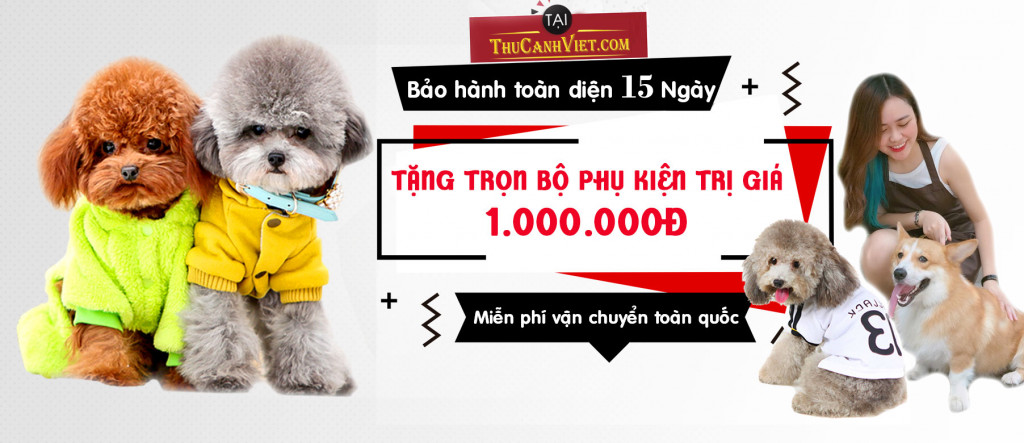 Pet House - Trại nhân giống thú cảnh