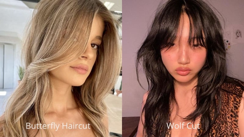 Phân biệt giữa butterfly cut và wolf cut