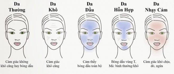 Phân loại các loại da và yếu tố ảnh hưởng