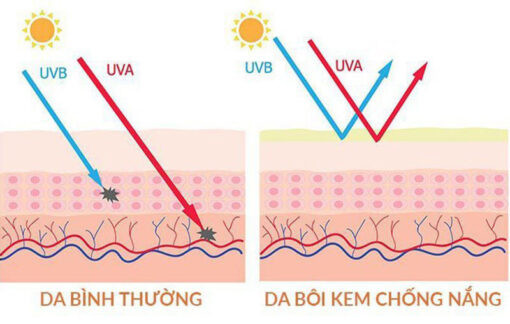 Cách bôi kem chống nắng đúng cách bảo vệ da hiệu quả nhất