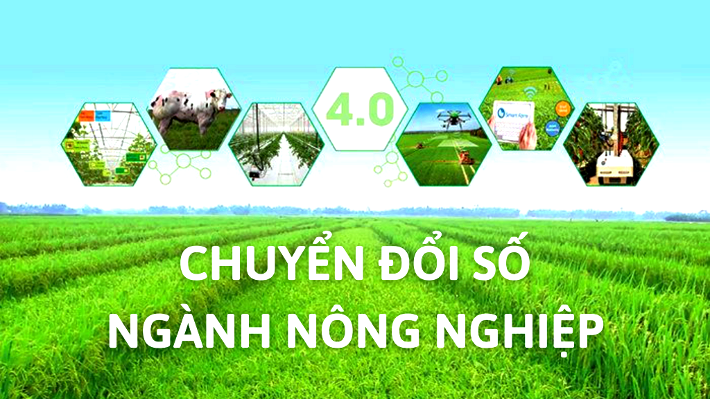 Các Chiến Lược Tối Ưu Nội Dung Chuẩn SEO Cho Nông Nghiệp Thông Minh