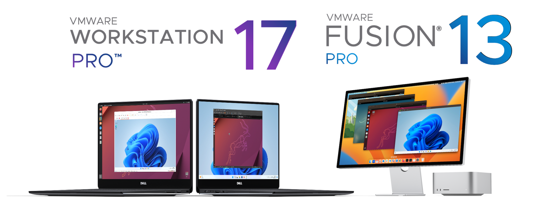 Cách cài đặt Windows 11 trên máy Mac với giấy phép cá nhân VMware Fusion Pro miễn phí