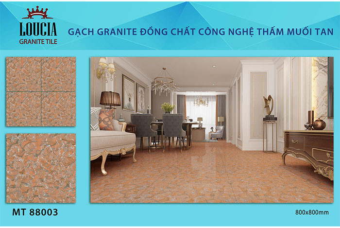 Cận cảnh gạch Granite thấm muối tan