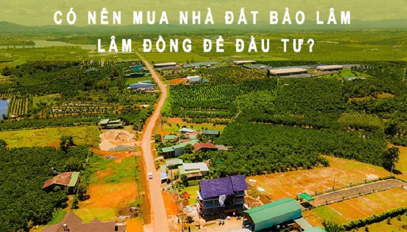 Cảnh quan thiên nhiên Bảo Lâm