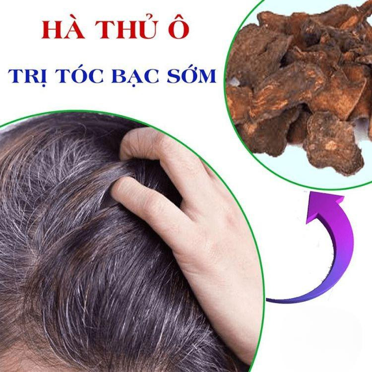 Chữa tóc bạc sớm bằng hà thủ ô