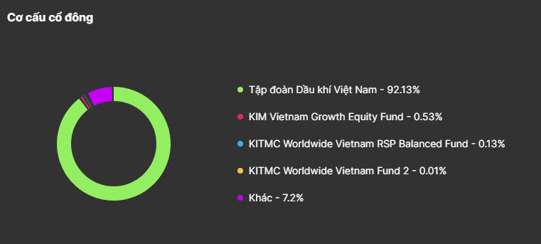 Phân tích BSR: Tiềm năng và Chiến lược Đầu tư