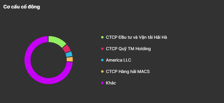 Cơ cấu cổ đông HAH