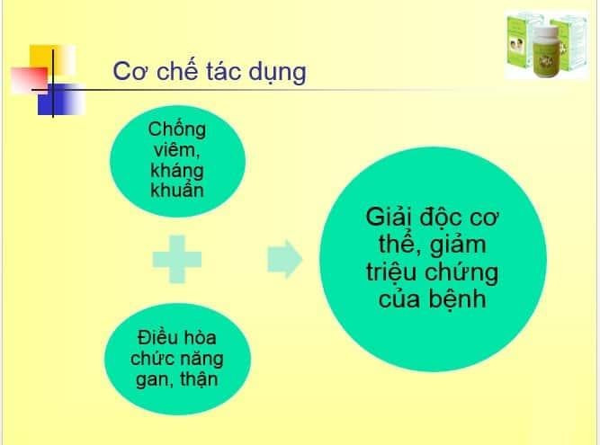 Cơ chế tác dụng của Nga Phụ Khang trong hỗ trợ điều trị u nang buồng trứng, u xơ tử cung: