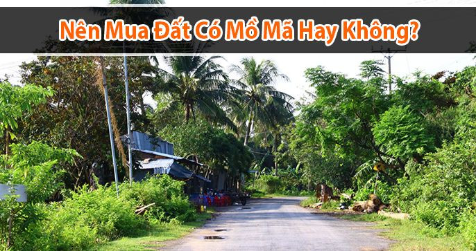 Có Nên Mua Đất Có Mồ Hay Không? Cách Kiểm Tra Đất Có Mồ