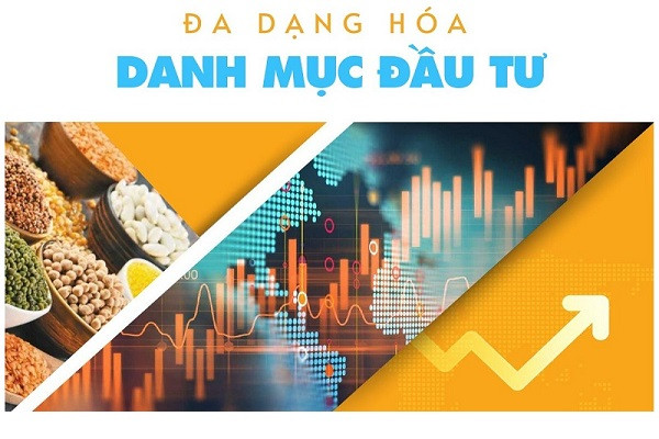 Đa dạng hóa danh mục đầu tư bất động sản: Tại sao và làm thế nào?