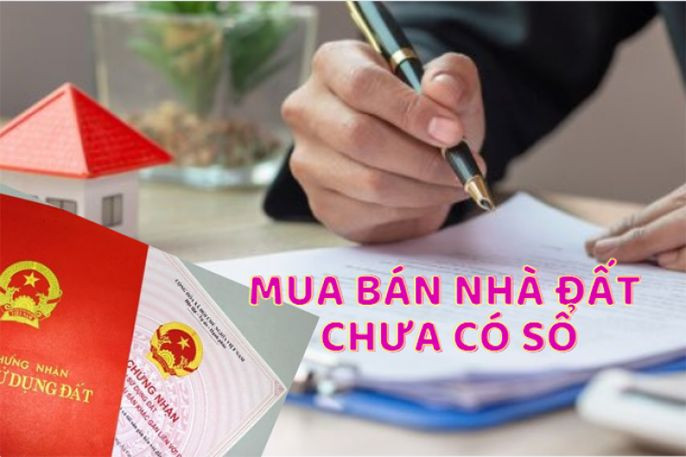 Mua Đất Chưa Tách Sổ: Những Điều Cần Lưu Ý Để Tránh Rủi Ro