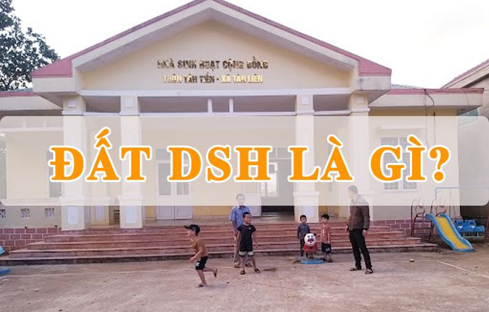 Đất DSH là gì? Tìm hiểu về vai trò và ý nghĩa trong phát triển cộng đồng