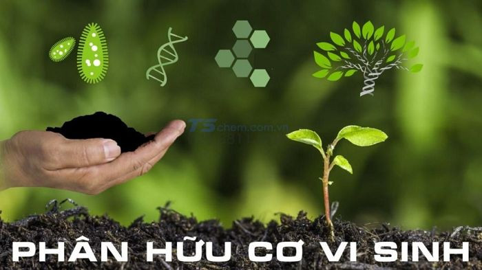 Đất hiếm trong y tế