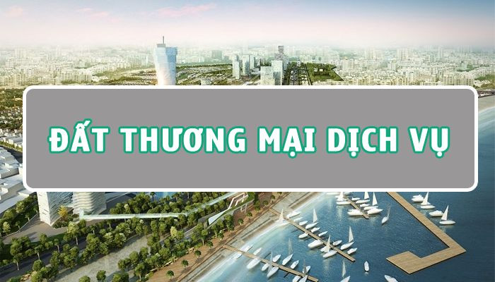 Đất thương mại dịch vụ là gì? Tất tần tật về đất thương mại dịch vụ