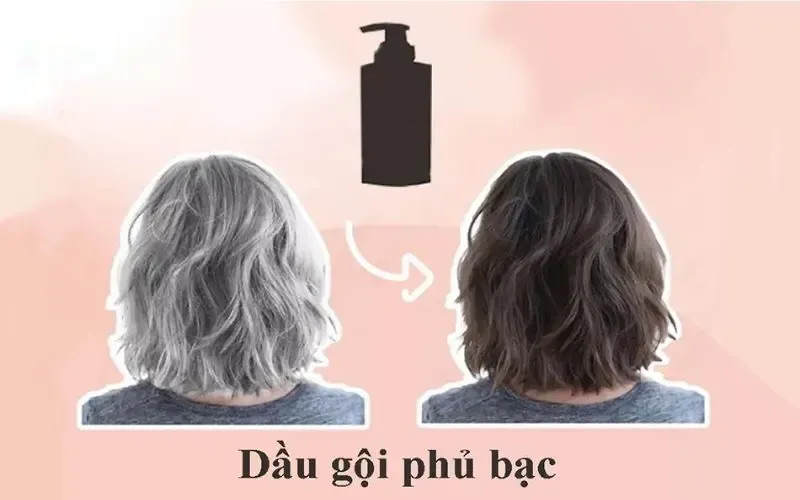 Dầu gội phủ bạc an toàn?