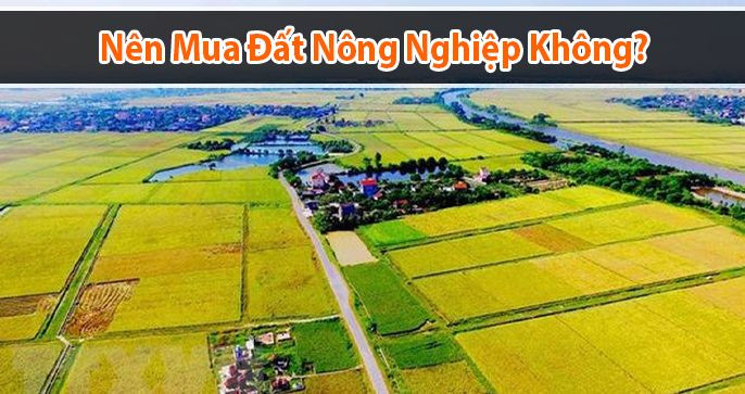 Có Nên Đầu Tư Vào Đất Nông Nghiệp Từ Góc Nhìn Bất Động Sản?