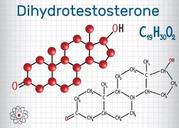 Hoocmon dht là gì? Giải thích tình trạng dụng tóc do thiếu hormone dht