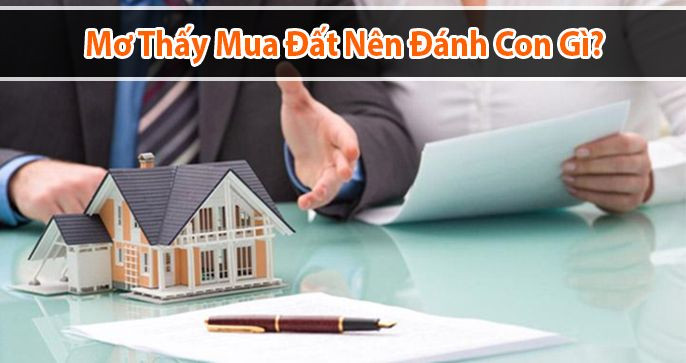 Mơ Mua Đất Đánh Con Gì? Khám Phá Bí Ẩn Sau Những Giấc Mơ