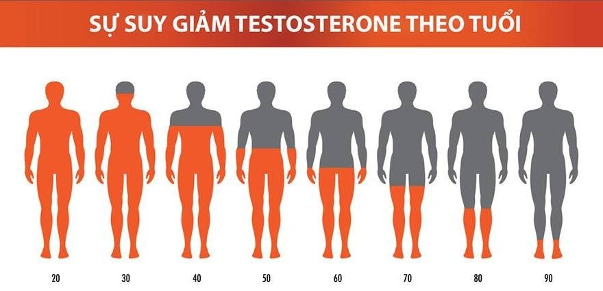 Rụng tóc do nội tiết tố nam và những điều có thể bạn chưa biết?