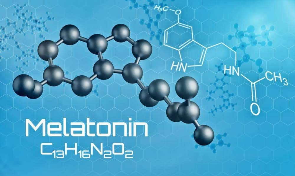 Melatonin hoạt chất