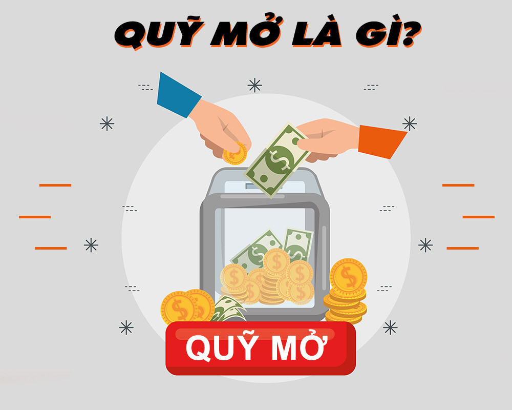 Quy Mô Là Gì?