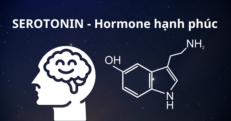 Serotonin ảnh hưởng đến giấc ngủ