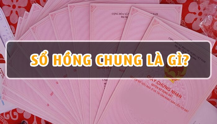 Những Rủi Ro Tiềm Ẩn Khi Mua Nhà Có Sổ Hồng Chung