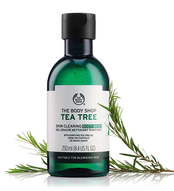 Sữa tắm The Body Shop Tea Tree