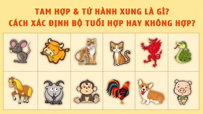 Tìm Hiểu Về Tam Hợp và Tứ Hành Xung Trong Bất Động Sản