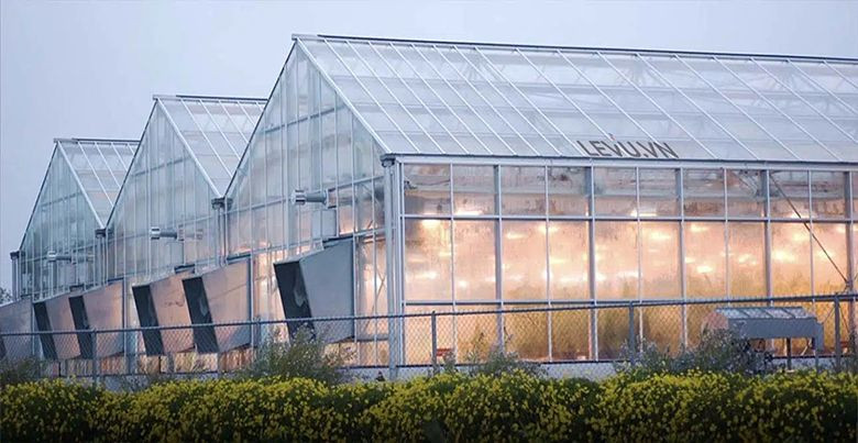 Tấm Lợp Polycarbonate: Giải Pháp Hiện Đại Cho Ngành Xây Dựng Tại Việt Nam