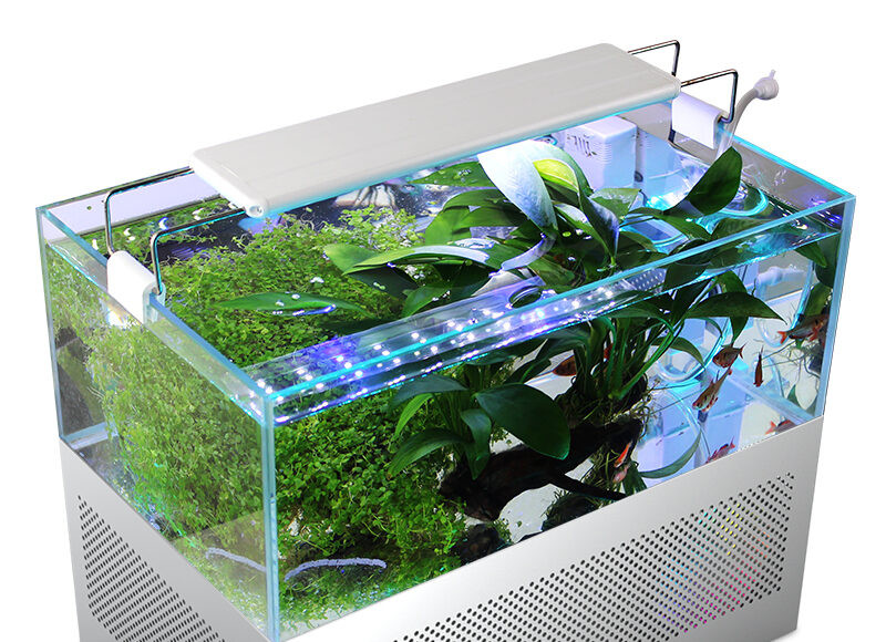 Thiết kế tinh tế và hiện đại của Y2 Fish Tank