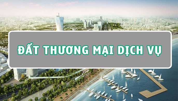 Mua Đất Thương Mại Dịch Vụ: Đầu Tư Thông Minh Hay Rủi Ro?