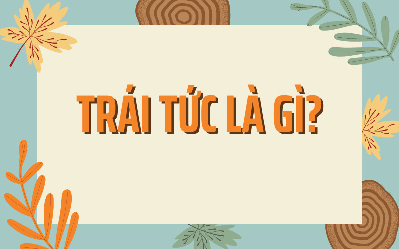 Trái Tức: Khám Phá Ý Nghĩa Và Vai Trò Trong Đầu Tư