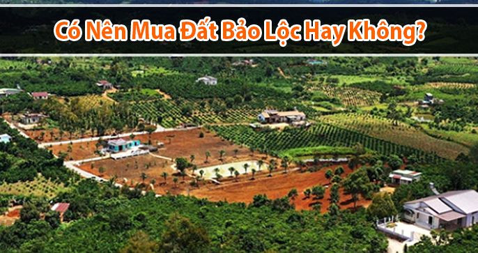 Có nên mua đất Bảo Lộc hay không? Những lưu ý quan trọng khi đầu tư