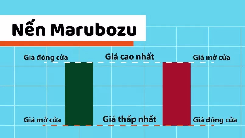 Vai Trò của Nến Marubozu