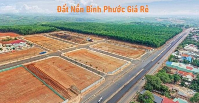 Vấn đề pháp lý khi mua đất Bình Phước