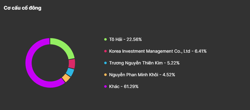 VCI Shareholder Structure