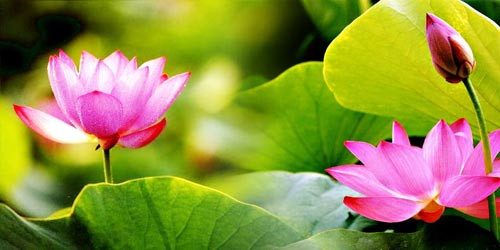 Hình thực hiện sau hiệu chỉnh