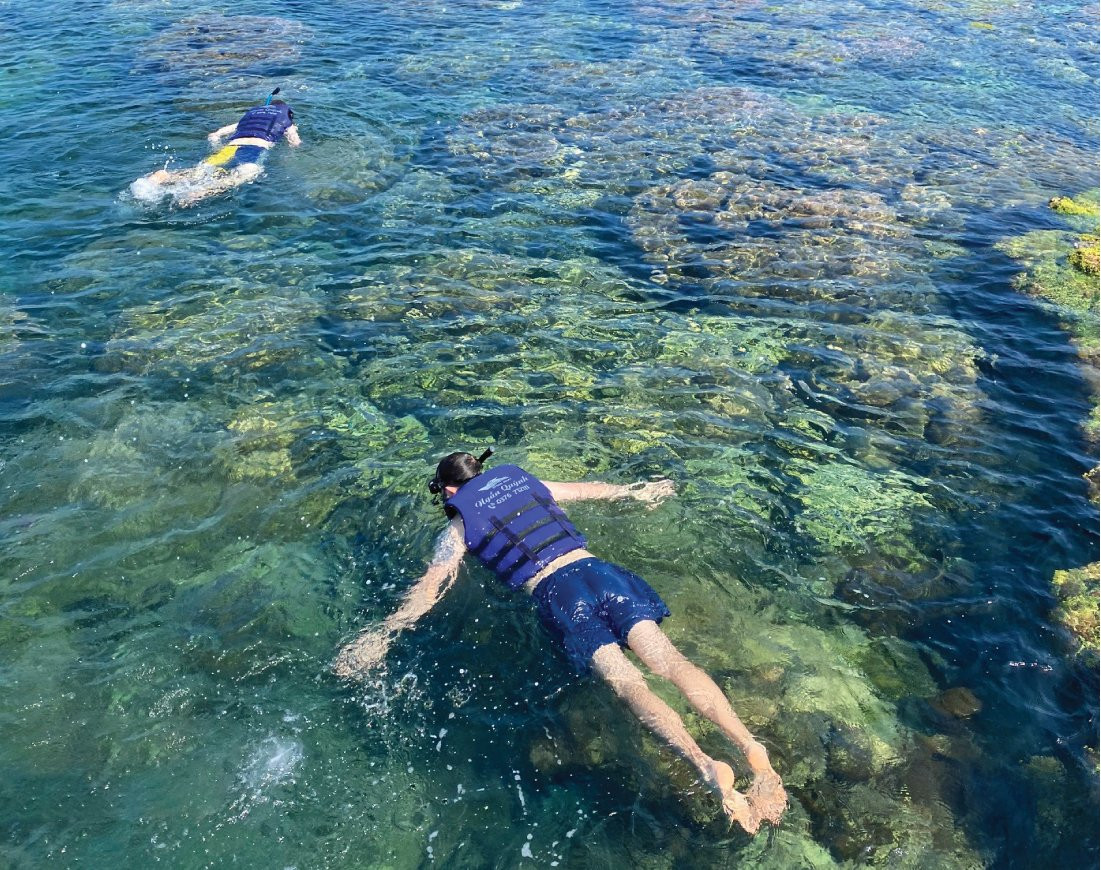 Ngắm san hô tại Dugong Bay