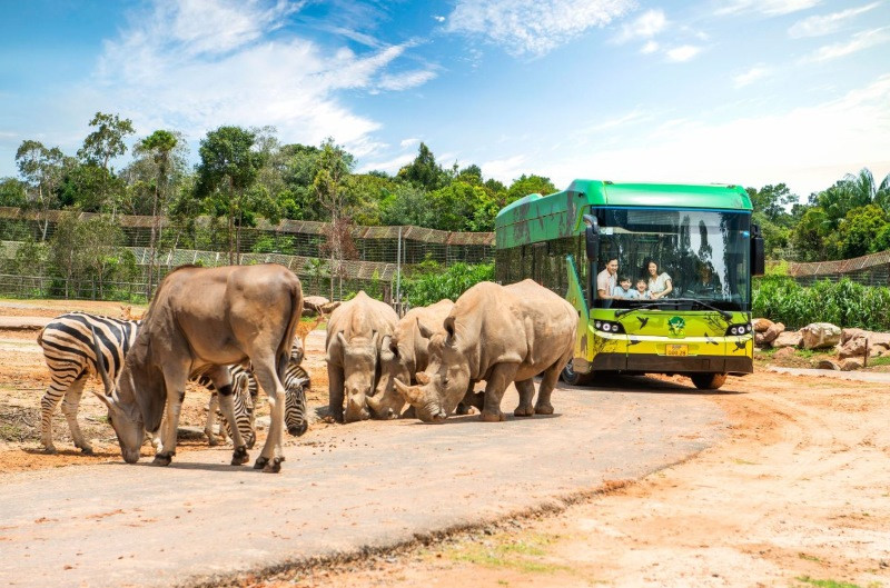 Vinpearl Safari Phú Quốc, mô hình sở thú bán hoang dã lớn nhất Việt Nam