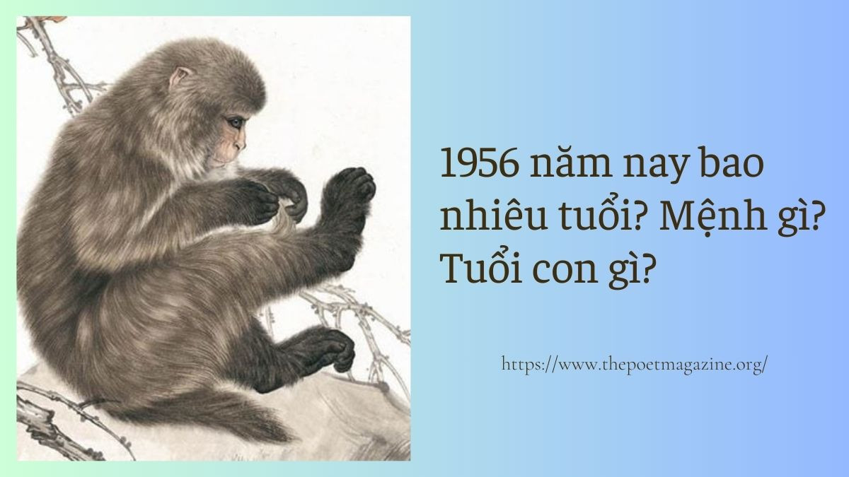 1956 Năm Nay Bao Nhiêu Tuổi? Thông Tin Chi Tiết Về Tử Vi, Cung, Mệnh