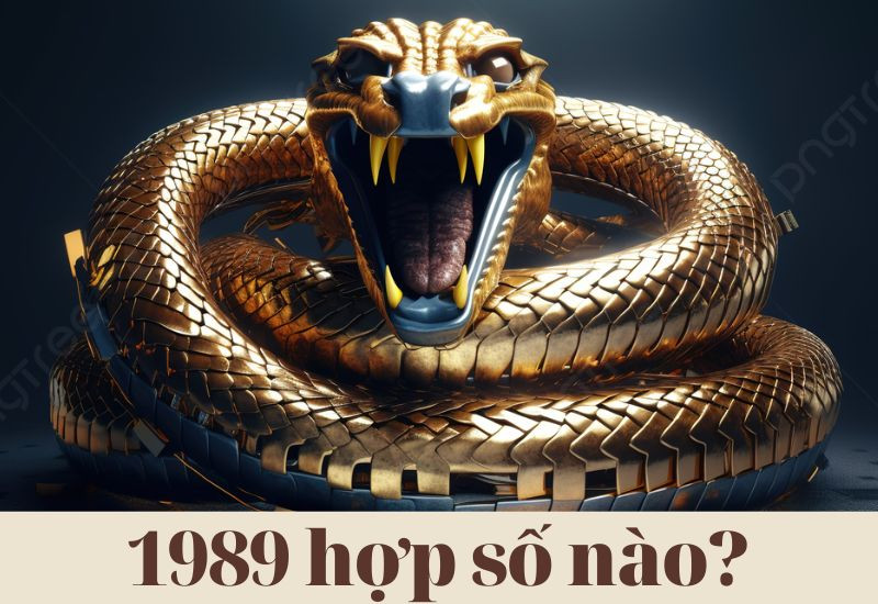Tìm hiểu 1989 hợp số nào để lựa chọn số đẹp, biến số xe và nhiều yếu tố khác theo phong thủy